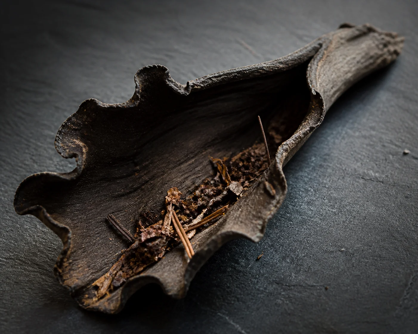 A single black trumpet split open lengthwise on dark slate, showing the hollow interior with leaf fragments caught inside