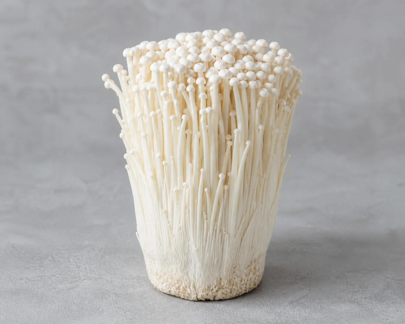 One whole bundle of cultivated enoki standing upright on a plain board with tiny caps above long white stems
