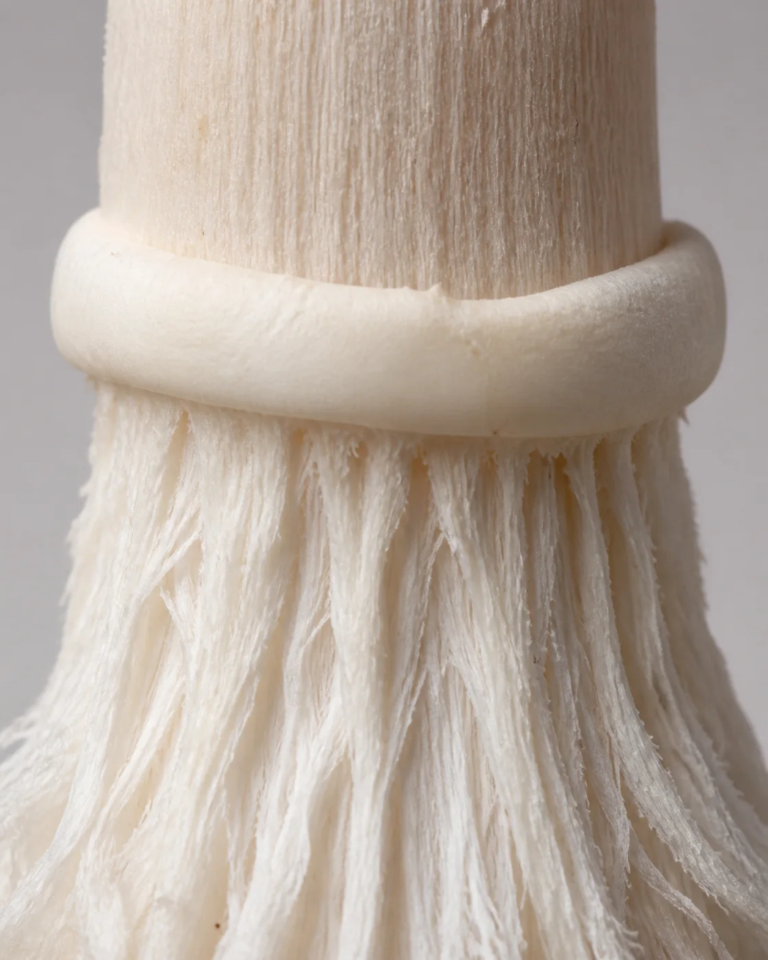 A thick white membranous ring encircling a pale stem like a firm collar, clearly solid tissue rather than cobwebby threads, with shaggy white fibers on the stem below