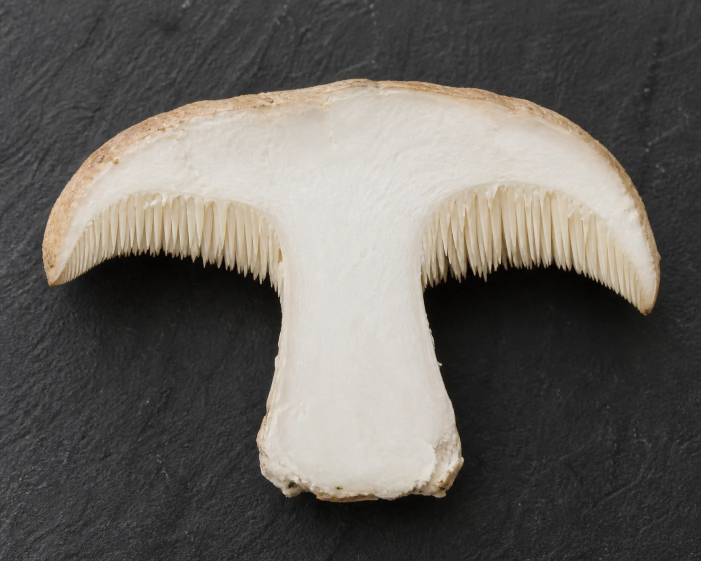 A hedgehog mushroom cut in half on a dark board showing dense white flesh above the spine layer