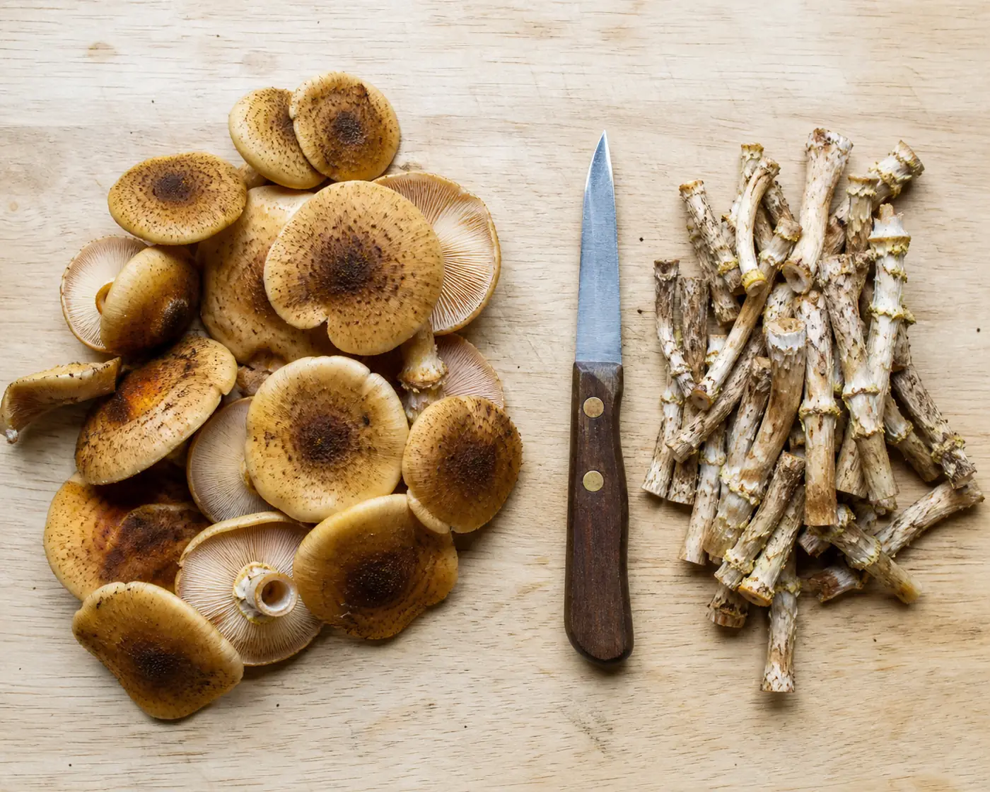 A pile of trimmed honey fungus caps beside a separate discarded pile of tough fibrous stems on a pale board with a knife between them