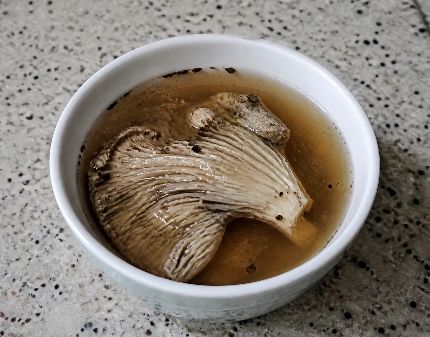 A pale mushroom sitting limp and darkened in a bowl of cloudy brown water on a kitchen counter, visibly waterlogged and losing its shape