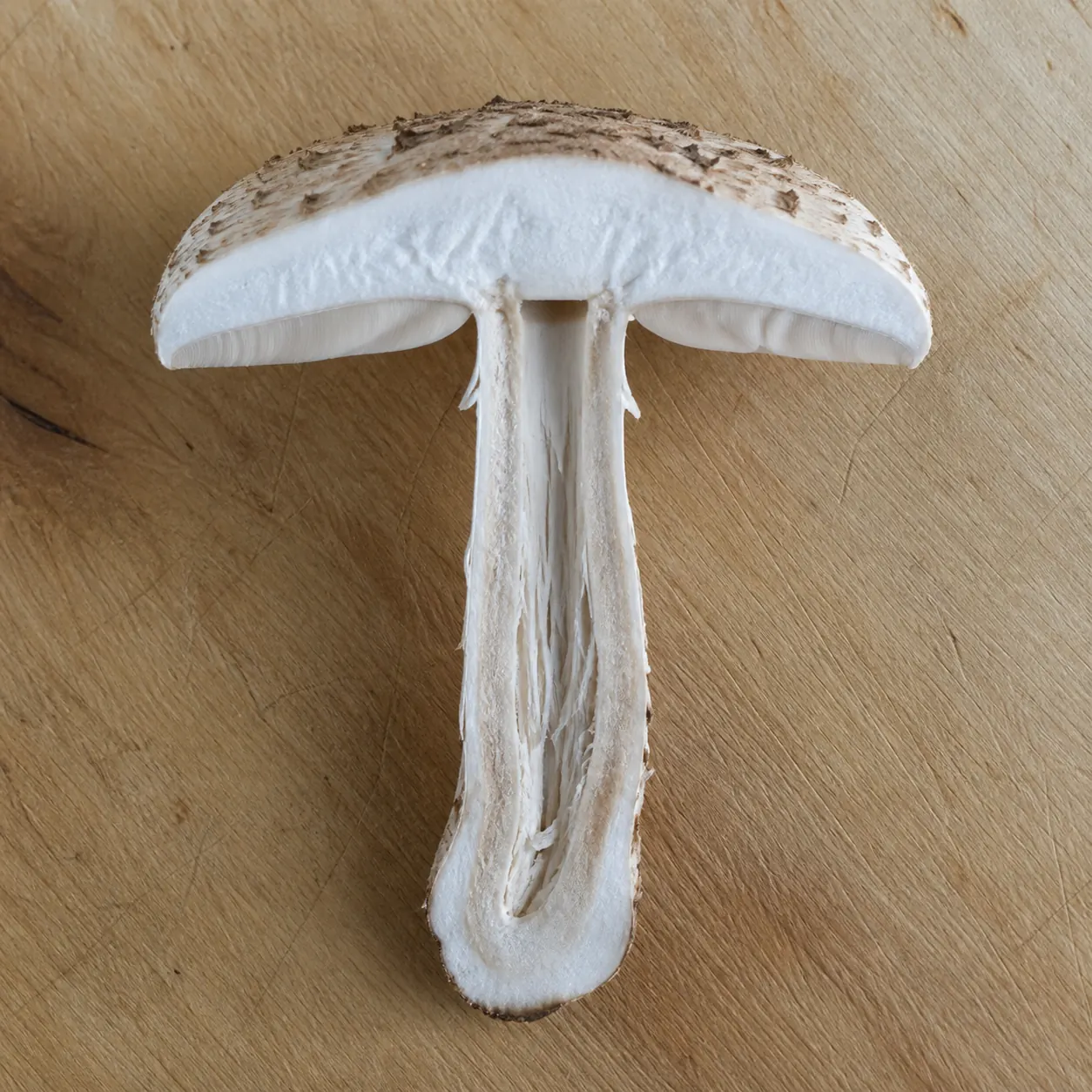 A parasol mushroom halved lengthwise on a pale wooden board showing white unchanging flesh and a hollow fibrous stem interior