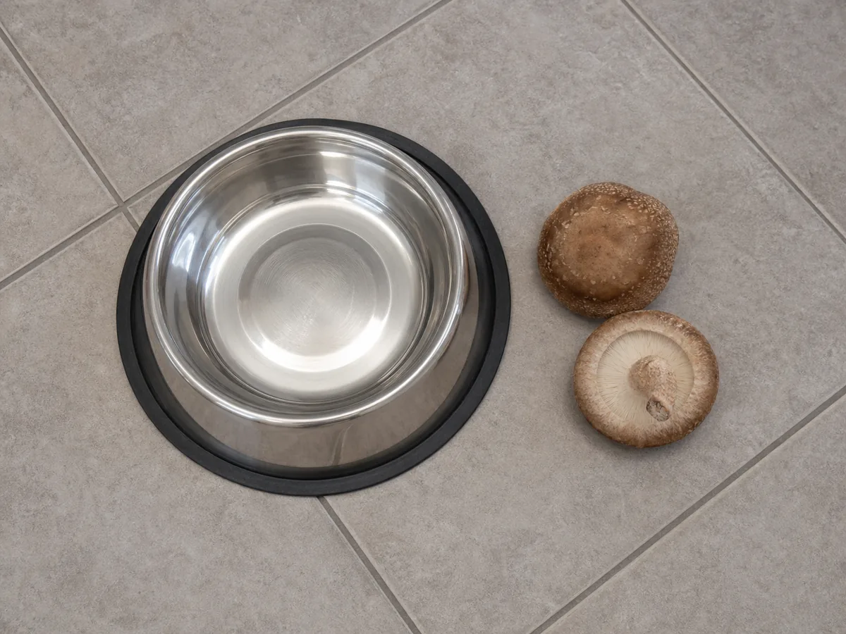 A stainless steel dog bowl on a tiled floor beside two raw shiitake mushrooms