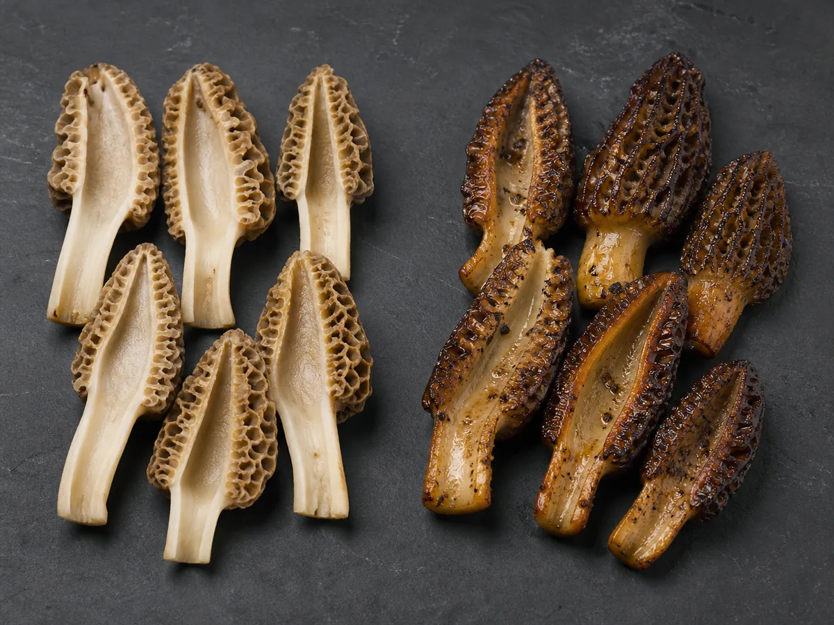 Raw halved morels on the left and thoroughly sauteed browned morels on the right