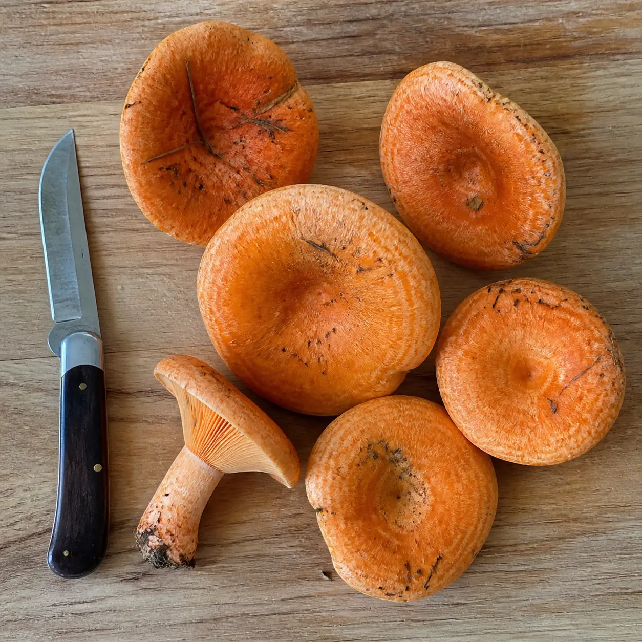 Several whole orange mushrooms on a wooden board with a folding knife laid beside them for scale