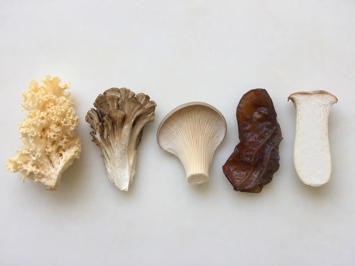 Cut structures of cauliflower mushroom, maitake, oyster mushroom, wood ear, and king oyster aligned on a prep board