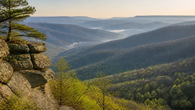 Morel Season in Kentucky: River Bottoms to the Mountains